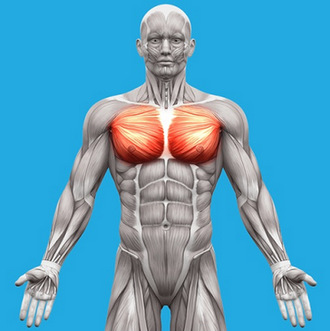 [Александр Волоткевич] Дыхание. Терапия внутренним_0.png